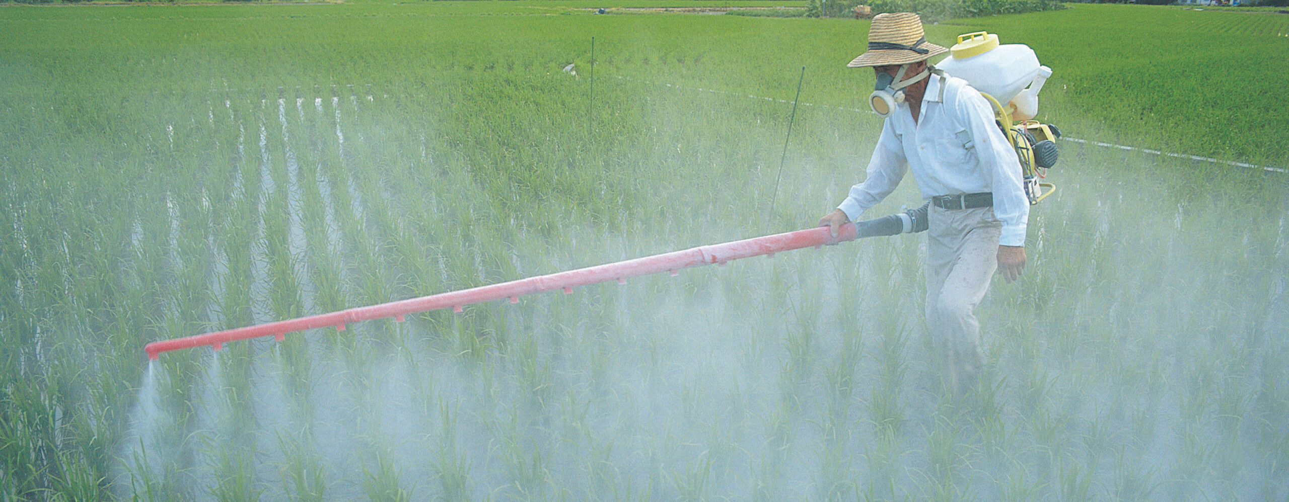 The Devastating Impact of Pesticides on the Environment